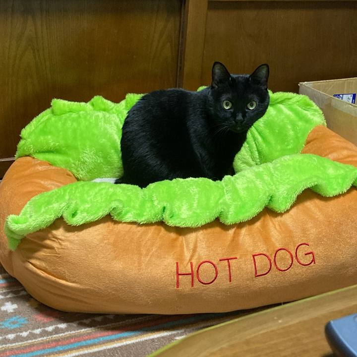 E3d17688 59b7 4c05 89b7 75ee3ab9620d 1734436992967