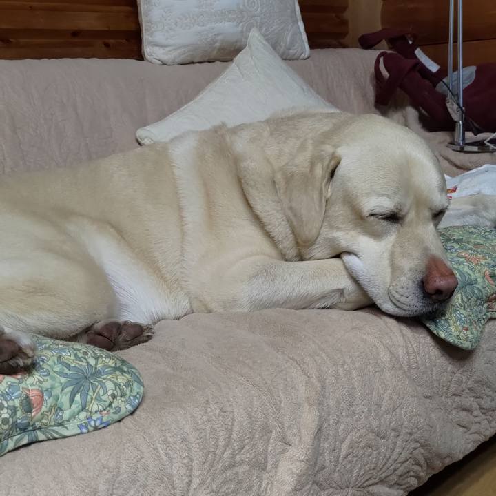 E3d18177 3191 41ad 9f00 2949d24315a7 1670138680373