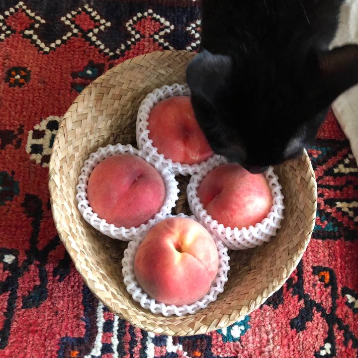 E3d18ffd 0658 4284 8744 1088da9db69d 1566109528570