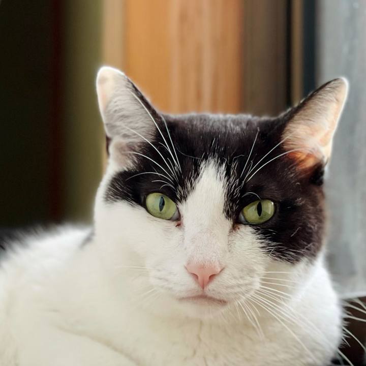 E3d1b30a 918b 4f7a ade9 a2962a1720d9 1623725061742