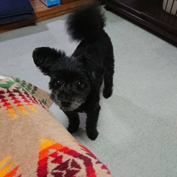 E3d1b8a8 1bfc 4138 8398 42c964128198 1592919281880