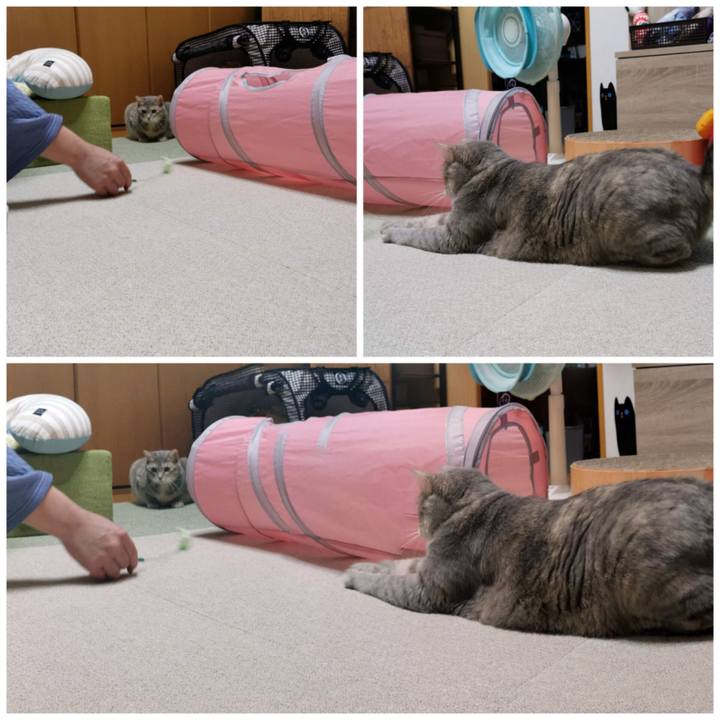 E3d1c437 fd89 4b2c b2b7 7161b630e510 1675746293038