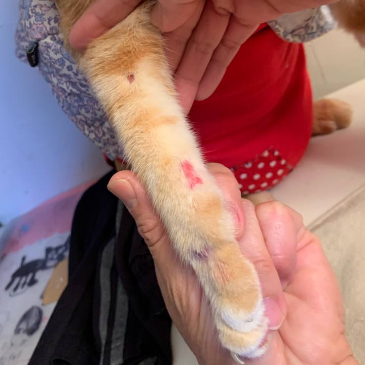 E3d1cb49 ef44 45bd 8e8f dac8d0a71f88 1620911305249