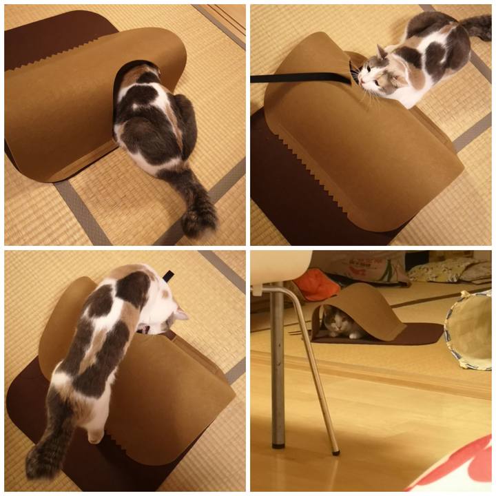 E3d1d67f 1837 45c0 b0ff b8bcb8911d15 1577282851558