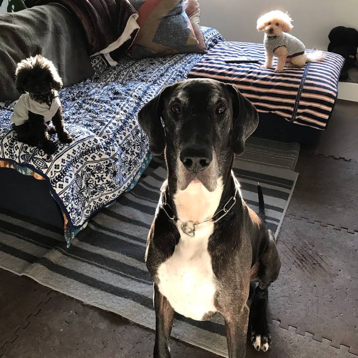 E3d22e80 deaf 4859 a251 6f198dcec055 1542753794243