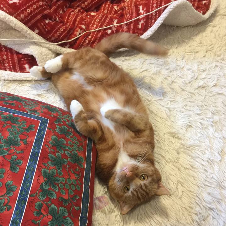 E3d23dfb aae1 4fb6 9e2a f064d41a08c7 1582531067718