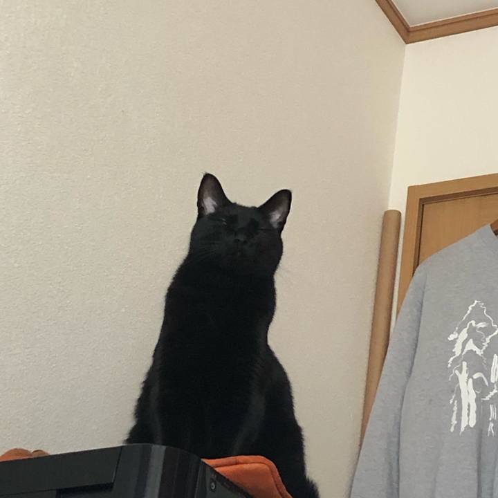 E3d24e41 9fe4 4043 bfd2 0ccf9777a175 1556324236090