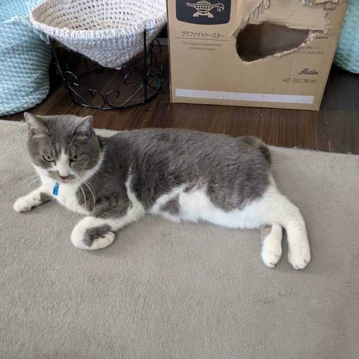 E3d263e4 9a41 4f4b 9ac4 8693fd2d5494 1768701636115