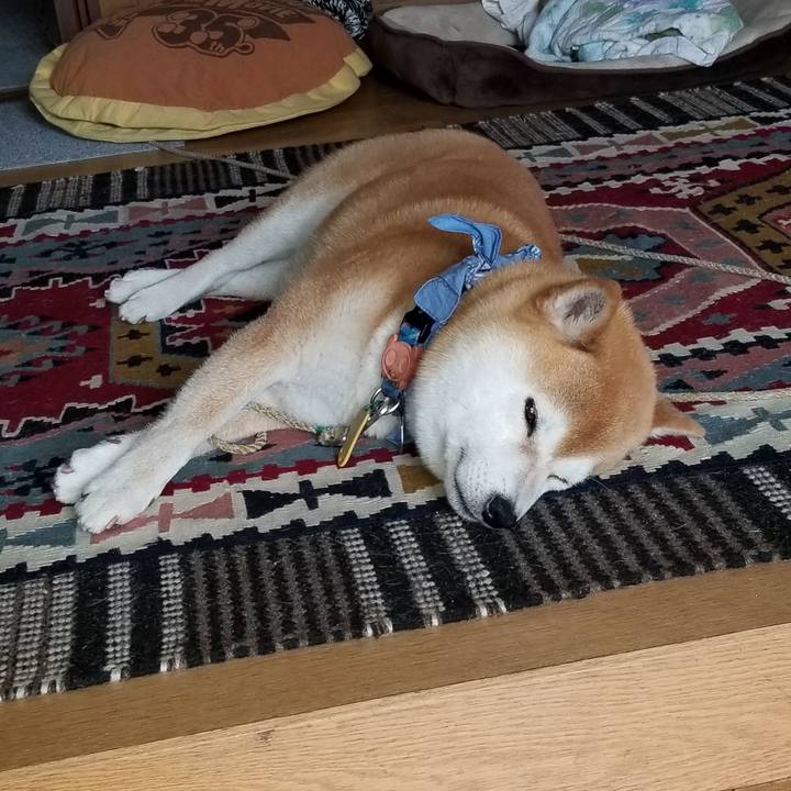 E3d2890b 0797 4c2b bd7a 4e81032eaf39 1559707445946