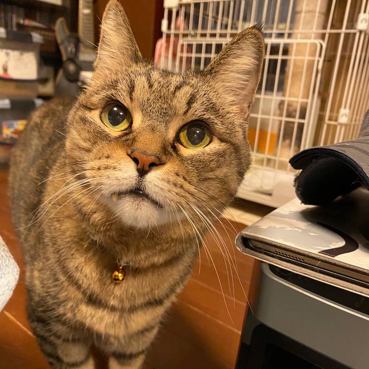 E3d29759 4a20 4ac9 8c56 50e480767f1d 1699177278648