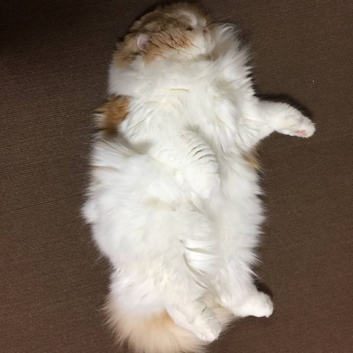 E3d2a849 f00f 4b73 89fa fa8bc345fc56 1587118286427