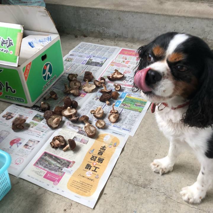 E3d2aa18 6af2 4c76 9534 c91cfe125538 1533371290469