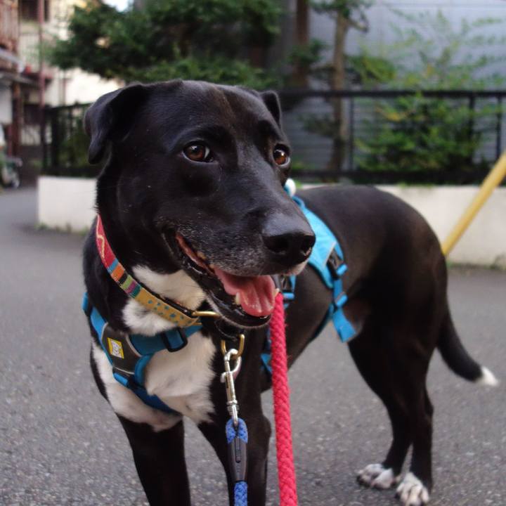 E3d315e6 4009 4afe b4ec 0c0bb7e2d54e 1627123791488