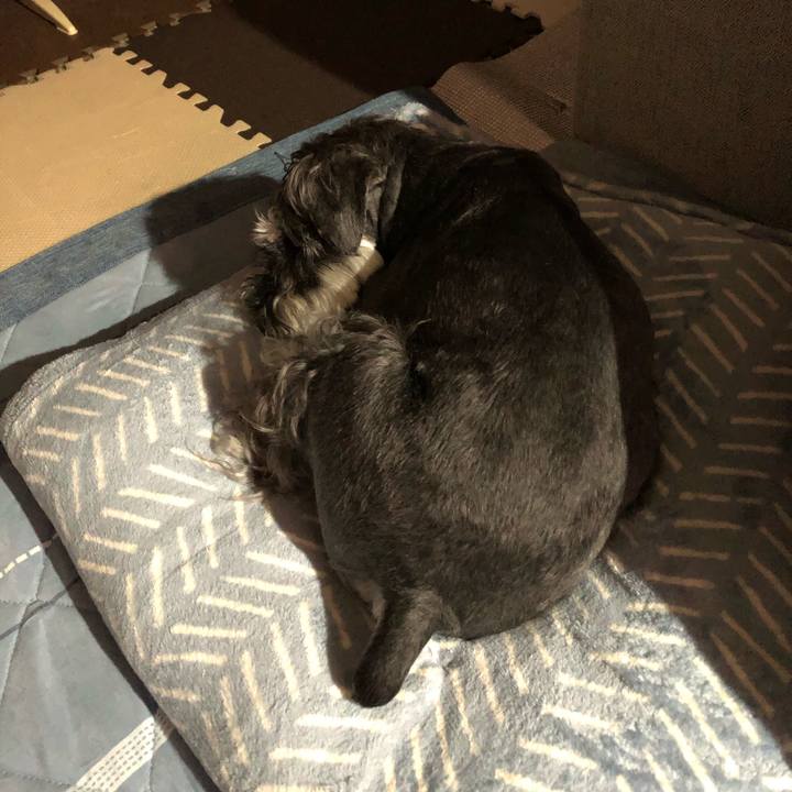 E3d31f7f 2f29 4605 917b 2dd7df5630e6 1687954521527