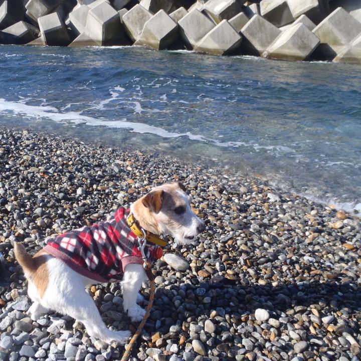 E3d33a0c 7328 4dcd b30b bac38ee22f83 1512203798692