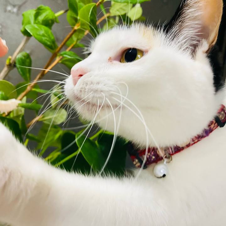 E3d396d2 67df 4a13 8828 10587586e03b 1668687227992