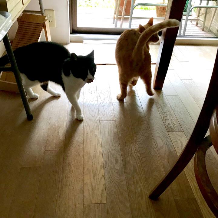 E3d3ab80 20e0 4e4d 89eb 04e1304afbce 1531288491109