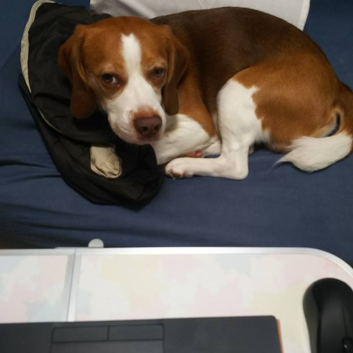 E3d3c7db 3408 42b2 9f32 1309501e09b2 1631083162567