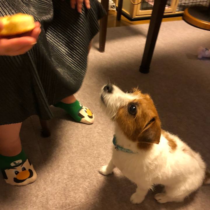 E3d3d002 2ab5 4bec aa0e 0c971238a0ee 1533425597058