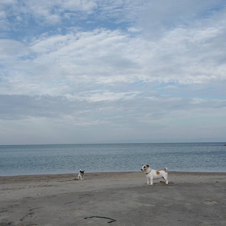 E3d3e21d 696a 47dc aad1 520d04f2c11c 1538712285877