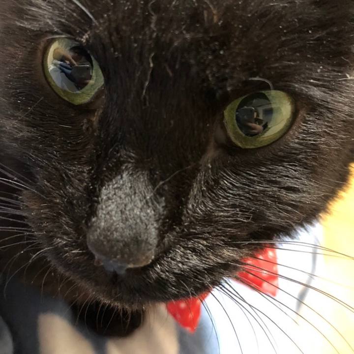 E3d42146 3a23 4fa0 9fc0 a9fb3550a826 1557051305924