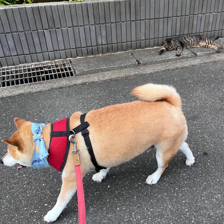 E3d43680 4f86 4201 a24f 3b6c3f488fb3 1722057813652