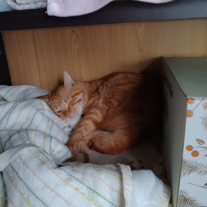 E3d43c5c e262 465d bf09 1e995d892bfa 1663638321281