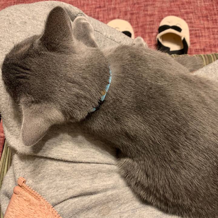 E3d459f6 353a 43e9 abd7 ac281e4fc25d 1579300011065