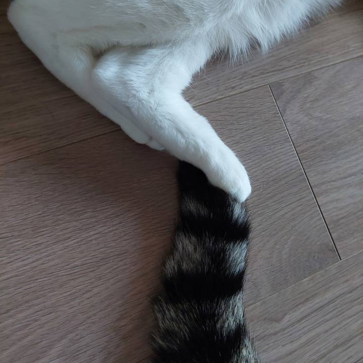 E3d4798a de16 43f9 a247 844e1182cc4a 1741332918378