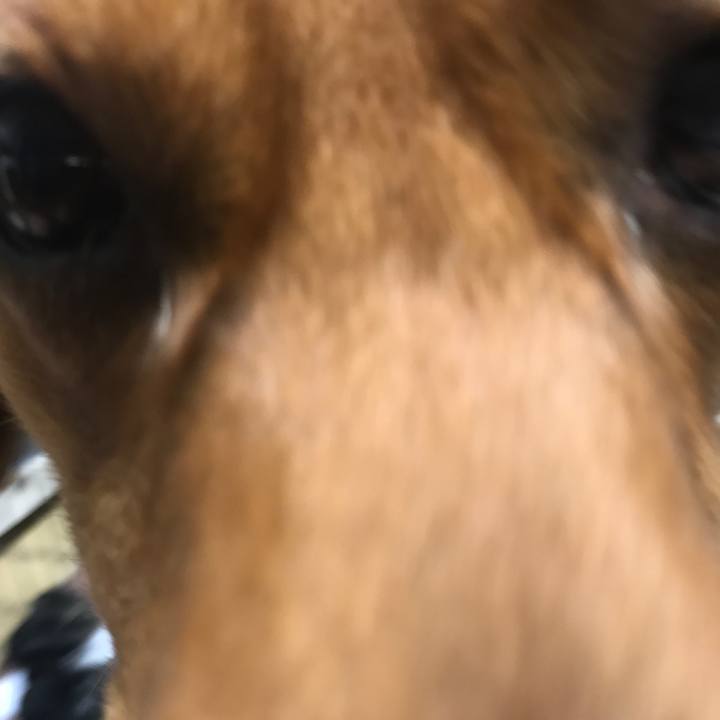 E3d4a161 e26c 435b be2e 993aa26680b0 1552692641170