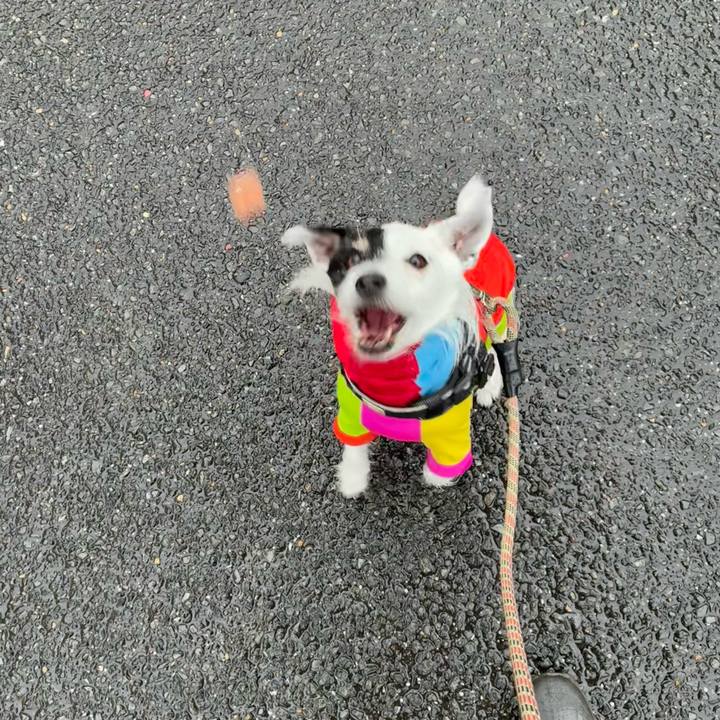 E3d4a2d6 9c0c 4a6b 9951 ceed343c212c 1772495522923