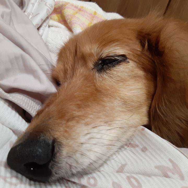 E3d4cd06 dd60 4c2f 9674 62267e39c16c 1656155791085