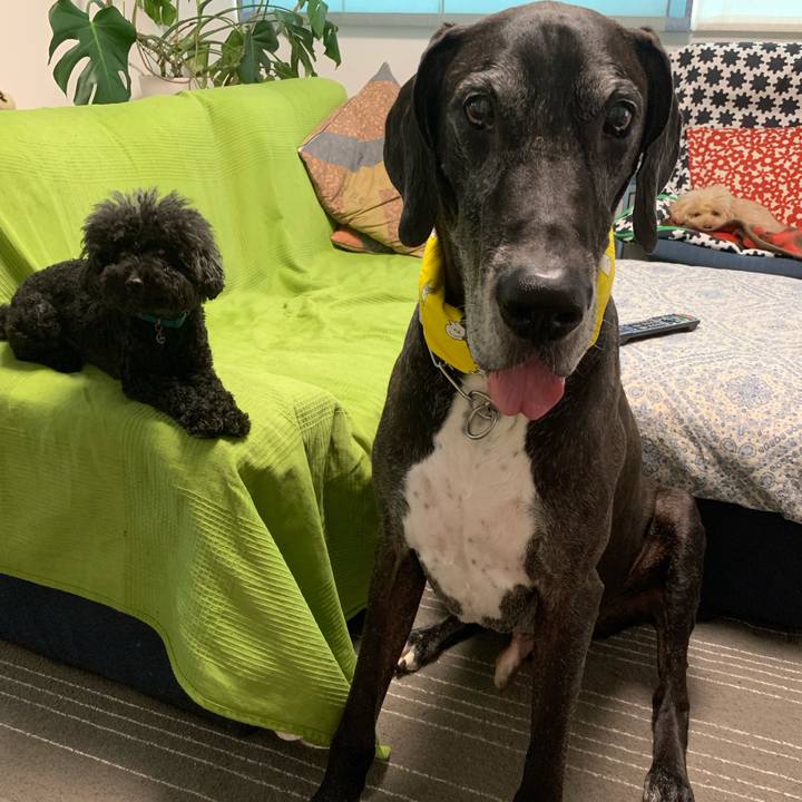 E3d4cd78 19a0 4e15 a354 2764abf8f65a 1563746233815