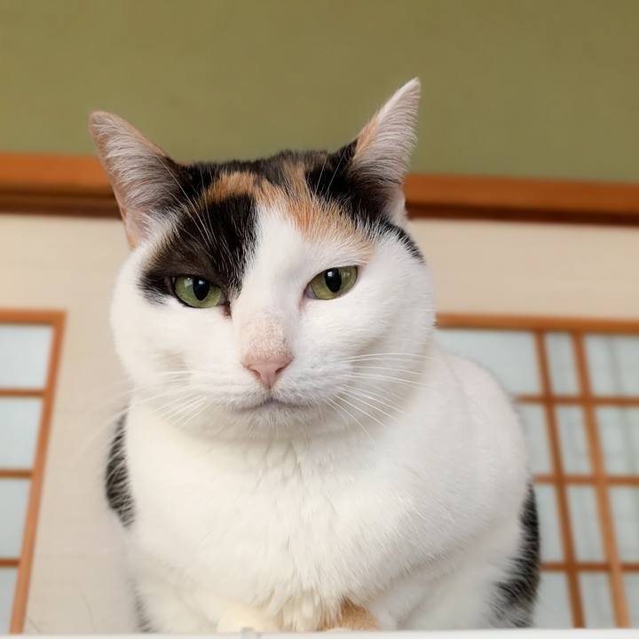 E3d4d6de d983 4a01 8f74 e8c44e2594a8 1580175541189