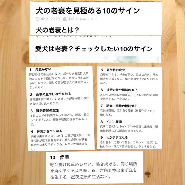 E3d4ede7 f487 48e9 afa3 9a55f9f92f50 1519232352959