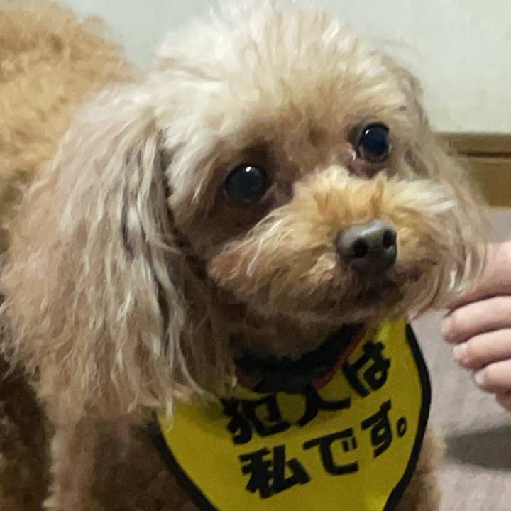 E3d53f1f 2450 48f3 aaa2 decbc473aeaa 1728310568097