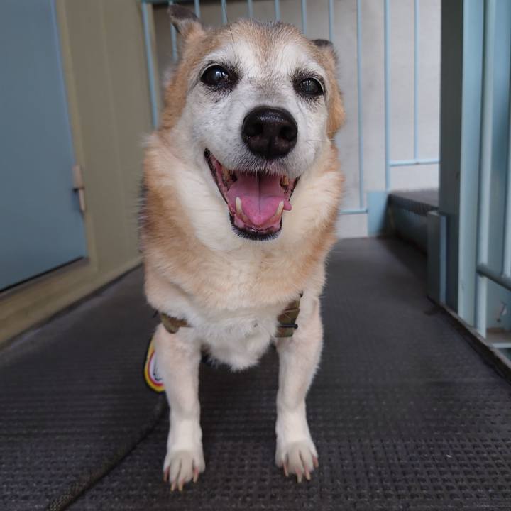 E3d59e70 973a 41cf 9d68 f082cefc6cd2 1717033682695