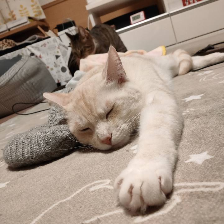 E3d5a340 79b9 482a b3c6 2db30f0d76bc 1669118992141