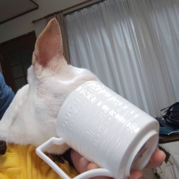 E3d5f8b4 06d3 4964 8d61 e3e5482be16f 1552176277612