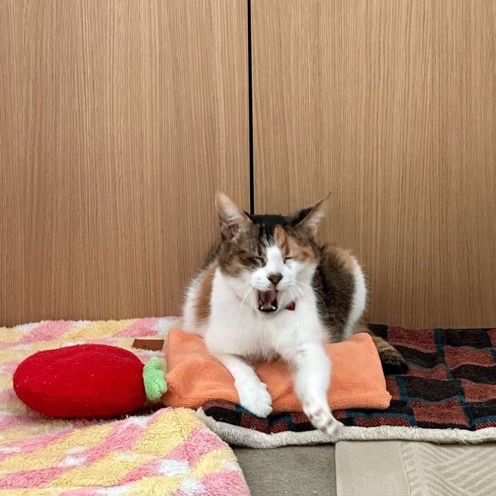 E3d5fdd8 83d3 465e a6e2 54ab4b96b82b 1697756150265