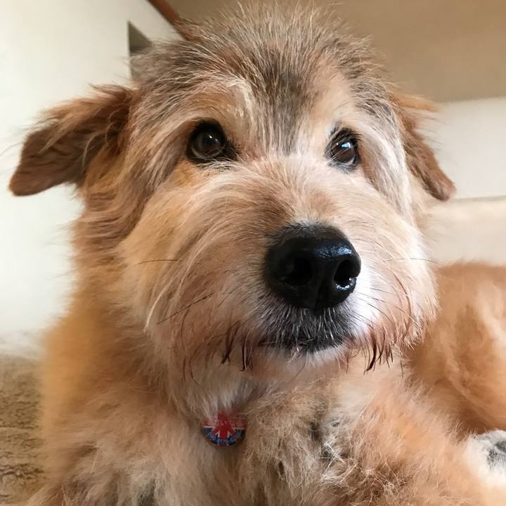 E3d60f84 0412 4914 b029 6a68c384b904 1605302777338