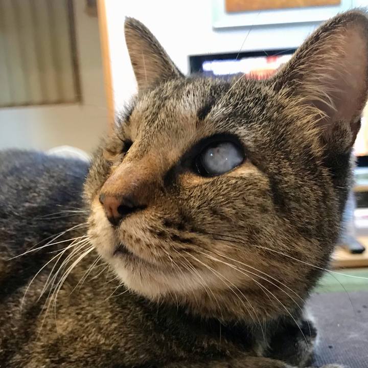 E3d61549 6886 4d8e b50a 424ab5a8b8f2 1609493644437