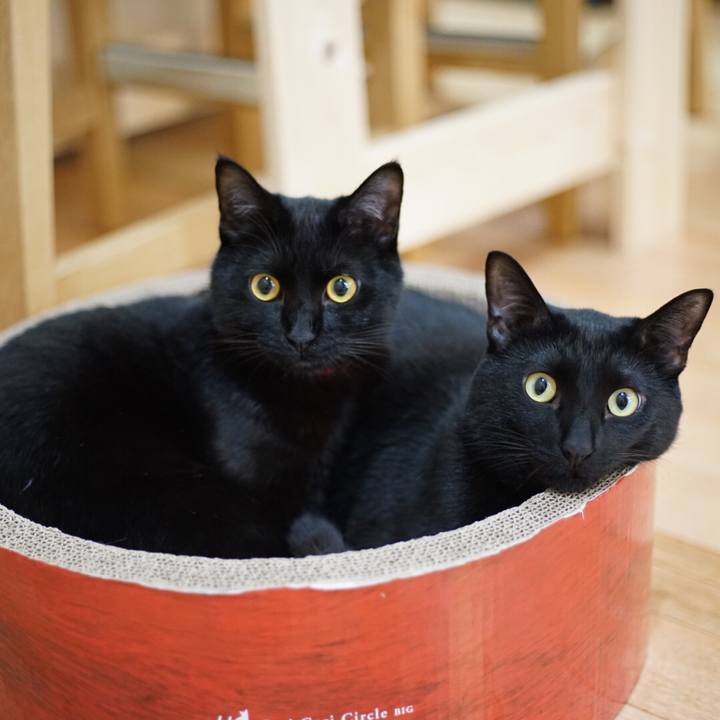 E3d628ca 790e 427e b79b 9d38eec5df10 1523316261833