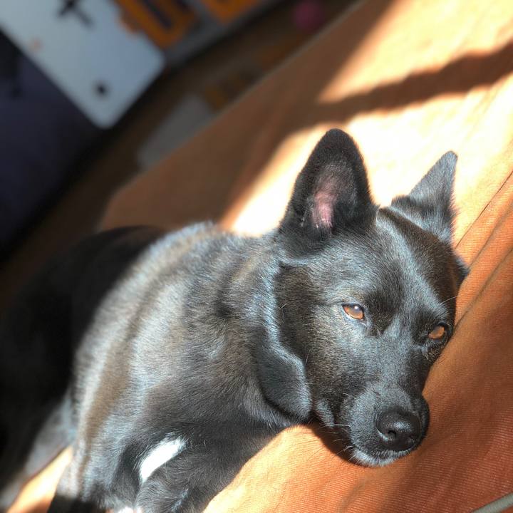 E3d62995 9350 47dd b8d7 fde6c1aa062c 1545613626261