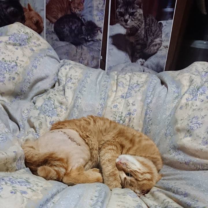 E3d64f7f 9f08 4b64 a3cd ce94925b66c6 1654174266111