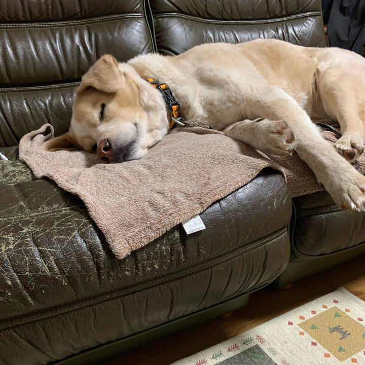 E3d65123 1a5d 4f28 a967 526070c0e1d9 1583070377532