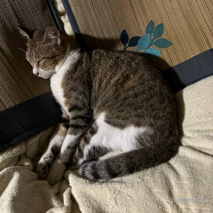 E3d65986 0c60 4e4c a360 95883e71567e 1756679081276