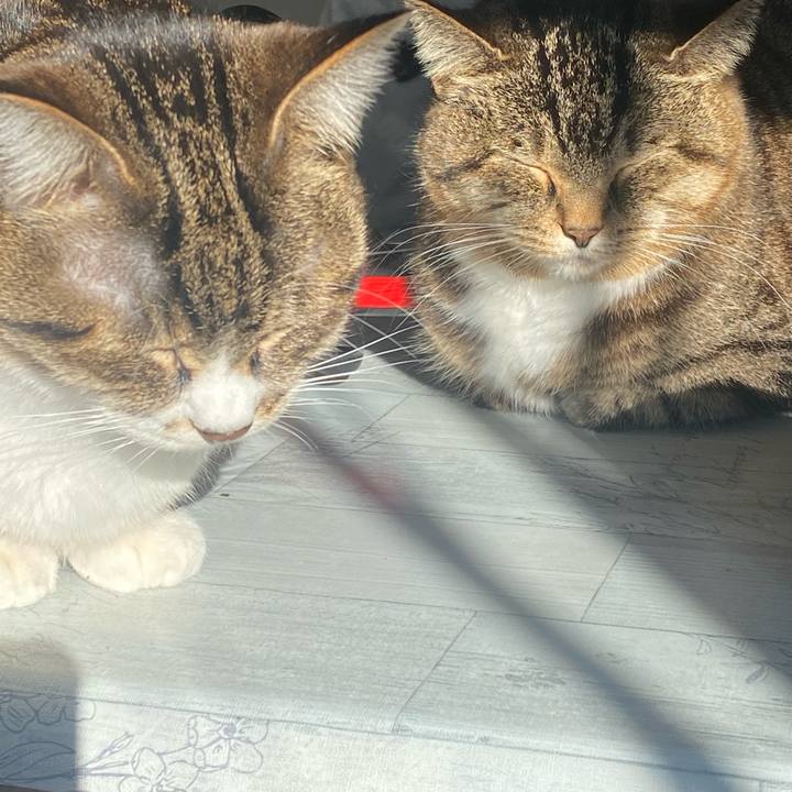 E3d660ea 54ce 4078 93d7 c59631edfa8d 1672619393506