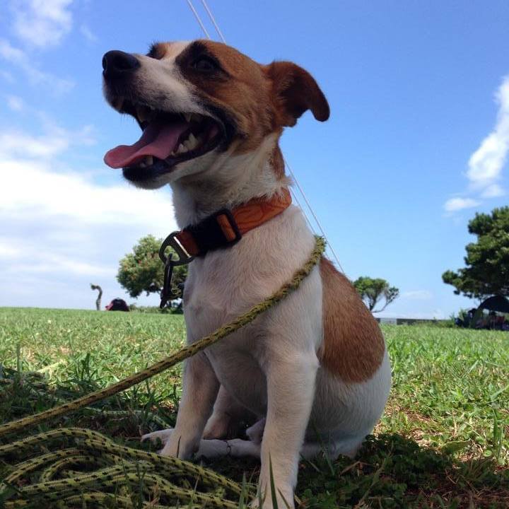 E3d665a0 872d 4dba 834c 0eb6faa02844 1660655083079