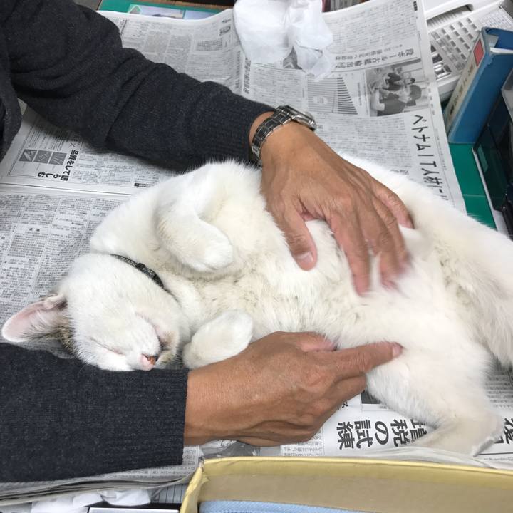 E3d690d0 8e31 4f12 8e41 b23f11f23694 1550046387996